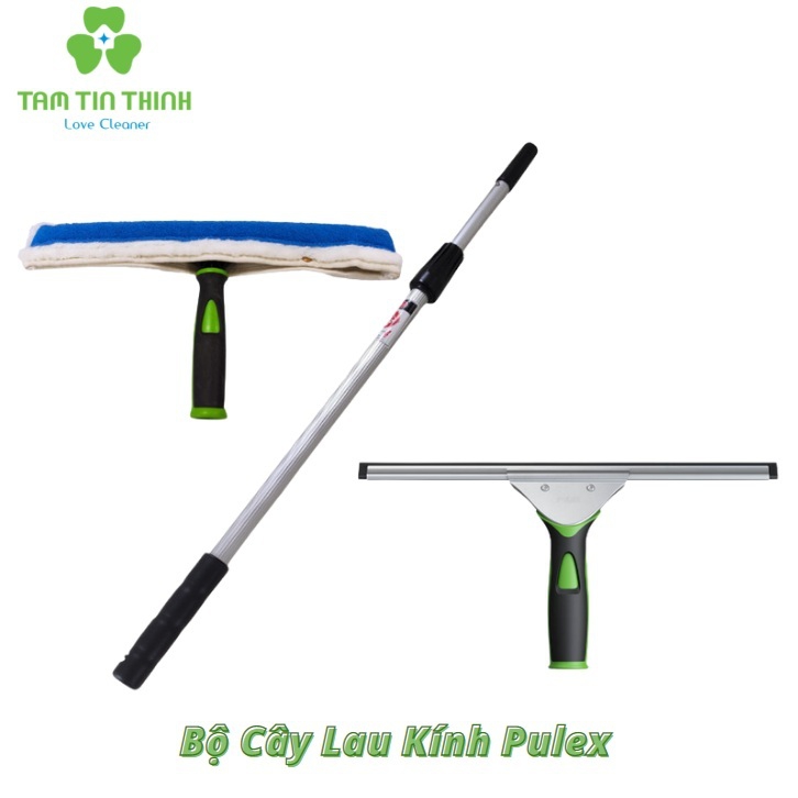 Cây lau kính Pulex Tại HCM Đà Nẵng Hà Nội